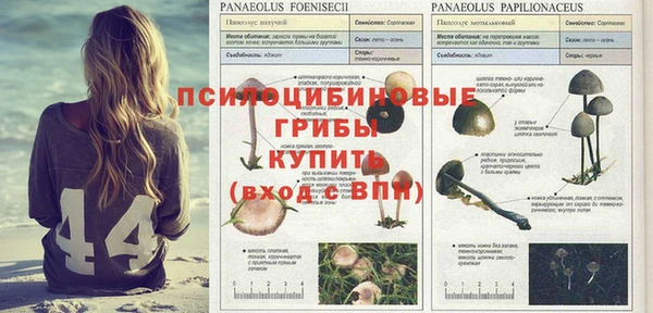 меф Вуктыл