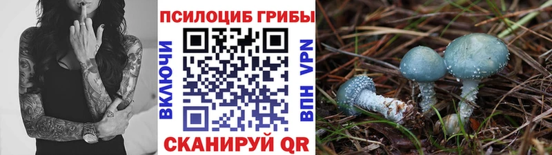 Псилоцибиновые грибы мухоморы  Тайшет 